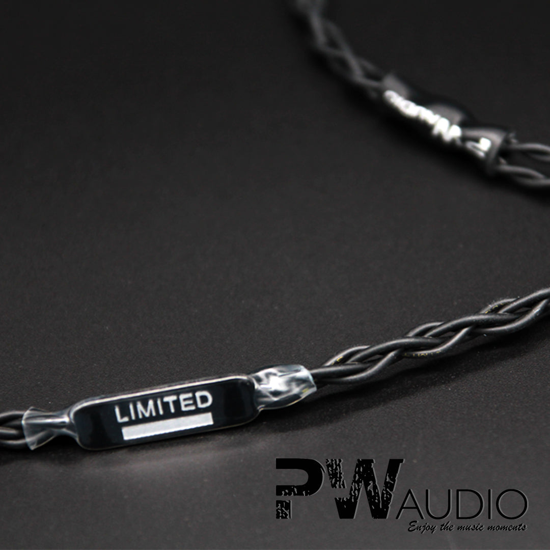 PW Audio Limited (4462149501000)